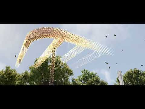 Vídeo 1